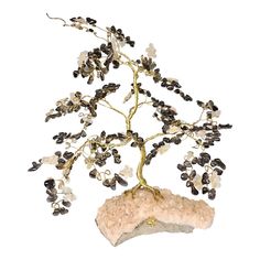 a bonsai tree with black and white flowers on it's branches is shown in front of a white background