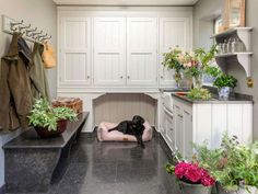 a black dog laying on the floor in a room with white cupboards and plants