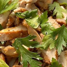 closeup of chicken and lettuce salad with dressing