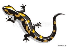 an image of a lizard that is on the side of a white background with black and yellow dots