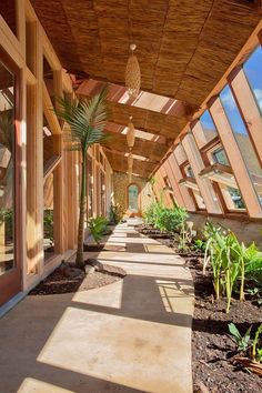 the walkway is lined with plants and trees