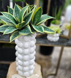 a white vase filled with lots of green plants