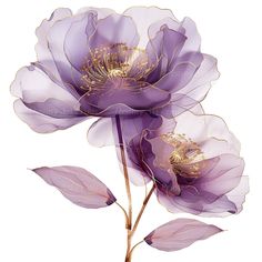 two purple flowers with leaves on a white background