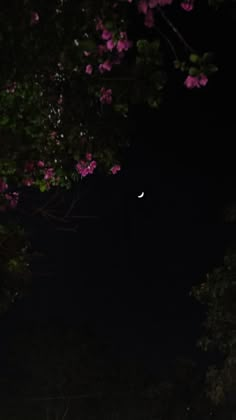 the moon is shining in the dark sky above some trees with pink flowers on it