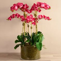 pink flowers are in a pot on a table