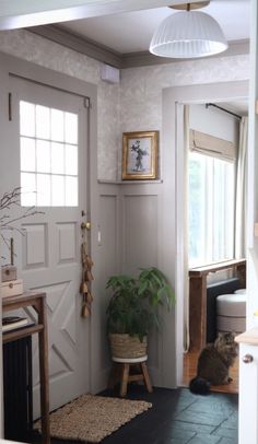 a cat sitting on the floor in front of a door with a potted plant