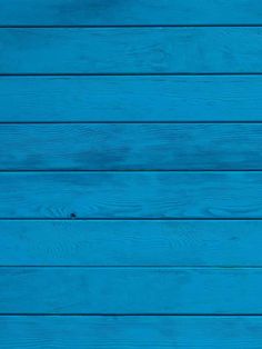 a blue wooden wall with some white flowers on it