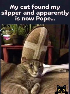 a cat laying on top of a chair with a caption that reads, my cat found my slipper and apparently is now pope