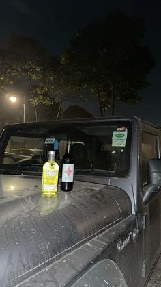 two bottles of alcohol are sitting on the hood of a truck at night with trees in the background