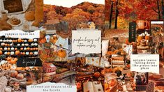 a collage of pictures with autumn and fall colors in them, including pumpkins