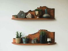 two wooden shelves with plants and rocks on them