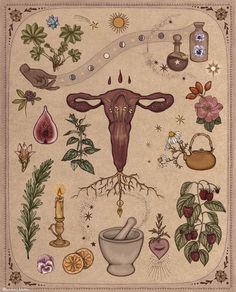 artipoppe.com Artipoppe Zeitgeist, Arte Yoga, Hormonal Health, Womb Healing, Magia Das Ervas, Medicine Woman, Sacred Feminine, Season Of The Witch, Arte Inspo