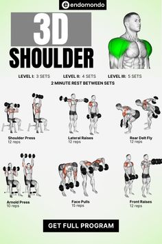 Sculpt 3D shoulders with this ultimate workout guide. Build muscle definition and strength with targeted shoulder exercises that give you that broad, rounded look. Start your shoulder workout today! Shoulder Mass Workout, Bodyweight Back Workout, Best Fat Burning Workout, Shoulder Workouts, Best Shoulder Workout, Workout Program Gym