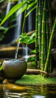 a water fountain in the middle of a pond surrounded by bamboo