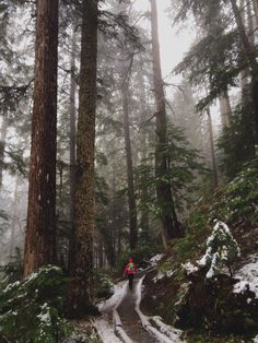 a person hiking up a snowy trail in the woods