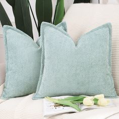 two pillows sitting on top of a white couch next to a green potted plant