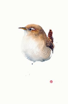 a small bird sitting on top of a snow covered ground next to a red dot