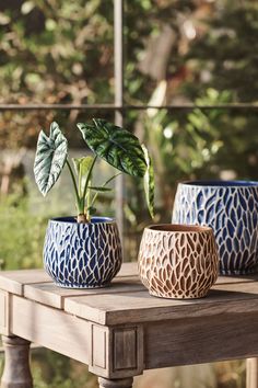 three ceramic planters sitting on top of a wooden table