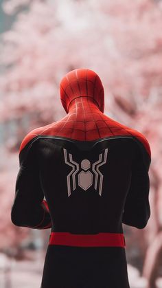 the back view of a spider - man in black and red