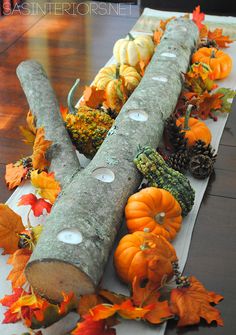 a table topped with lots of different types of pumpkins and pineconuts on top of paper towels