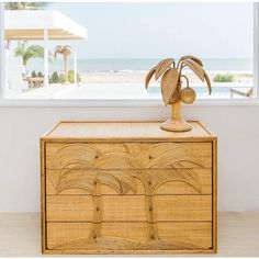 a wooden dresser sitting in front of a window next to a beach sideboard with a plant on top