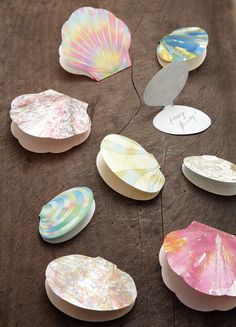 several seashells are laid out on a table with paper tags attached to them