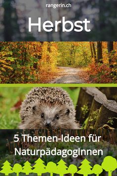 three different pictures with the words herbst in german and an image of a hedge