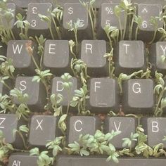 a keyboard with plants growing out of it's keys and the letters are written in white