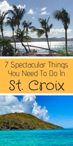 st croix island with palm trees in the foreground and text that reads 7 spectacular things you need to do in st croix