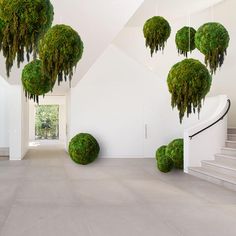 moss covered balls are hanging from the ceiling in an empty room with white walls and stairs