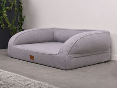 a gray couch sitting on top of a cement floor next to a plant in a room