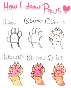 how i draw paws with different colors and sizes, including the paws on each hand