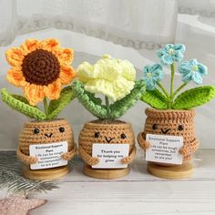 three small crocheted pots with flowers in them