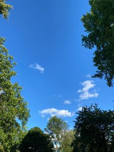 a park bench sitting in the middle of a lush green park under a blue sky