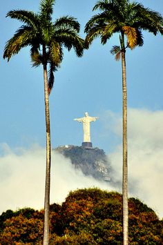 black and white photograph of the statue of christ on top of a hill surrounded by palm trees