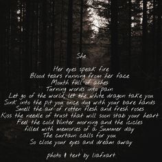 a poem written in the dark with trees behind it