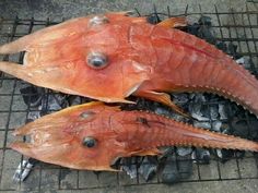 two dead fish sitting on top of a grill