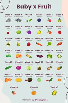 the baby x fruit chart is shown with different fruits and vegetables on it's side