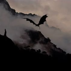 a black and white photo of a dragon flying over the mountain side with fog in the air