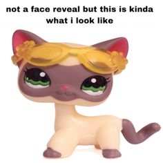 a cat with sunglasses on it's head and the caption says, not a face reveal but this is kinda what i look like