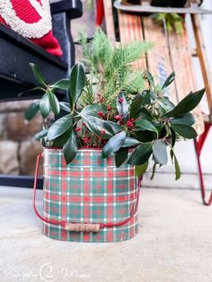 a potted plant sitting on top of a table