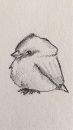 a drawing of a bird sitting on top of a piece of paper