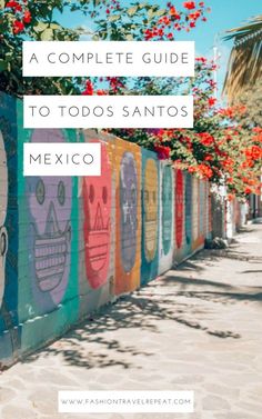 a colorful wall with the words a complete guide to tods sanitos mexico