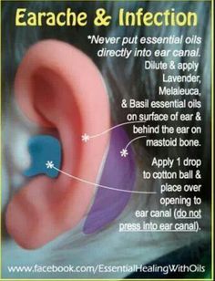 Earache & Infection Ear Ache, Basil Essential Oil, Yl Oils, Healing Oils