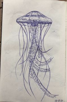 a drawing of a jellyfish in blue ink on white paper with writing underneath it