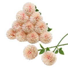 PRICES MAY VARY. PRODUCT SPECIFICATION: Lifelike Artificial flowers, 12pcs , length approx 11.0 inch,Chrysanthemum Ball head diameter approx 2.7 inch. Each has 2pcs bifurcation leaves. MATERIALS: The product is made of high quality plastic and fabric material, Hydrangea Chrysanthemum Ball Flowers never wither and fall,can be bent shape or prune, no worry about the bended branches caused by transport. WIDE RANGE OF USES：Plastic plants flowers not easy to fade or fall. arrangement for Wedding, Par Chrysanthemum Bouquet, Party Table Centerpieces, Chrysanthemum Flower, Silk Flowers Wedding, Floral Arrangements Diy, Diy Wedding Bouquet, Flower Branch, Plastic Flowers, Peach Pink