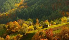 an autumn scene in the mountains with houses and trees