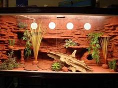 a fish tank with plants and rocks in the bottom, along with lights on either side