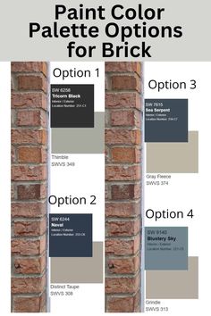 an image of paint colors for brick and the words,'paint color palette options for brick