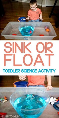 a young boy playing with sink or float toddler science activity